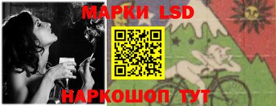 шишки Будённовск