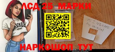 шишки Будённовск