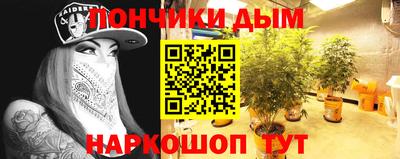 шишки Будённовск