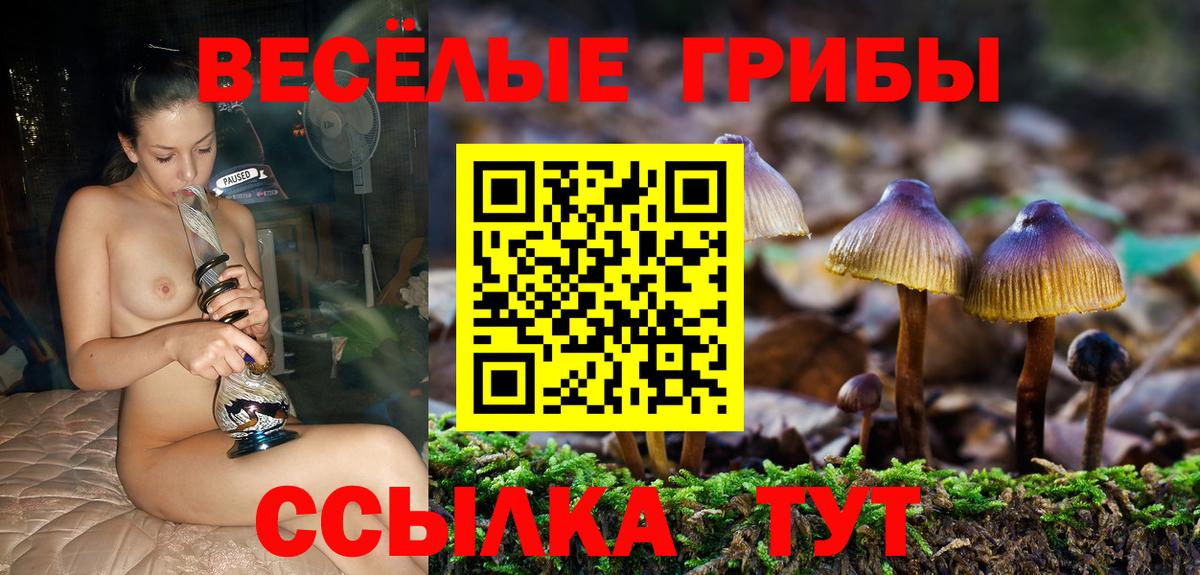 Псилоцибиновые грибы Magic Shrooms Тольятти