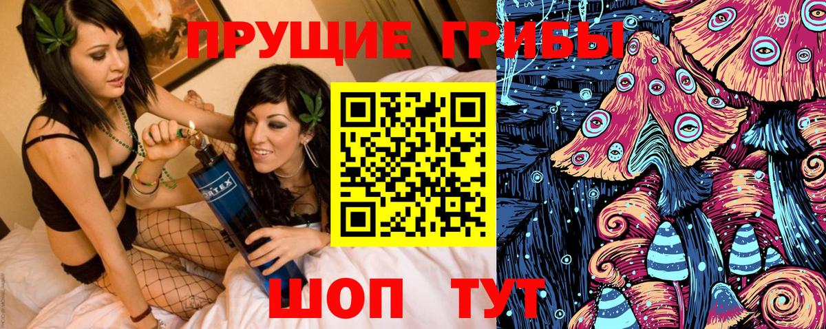Тольятти  Галлюциногенные грибы Cubensis  Вход с VPN 